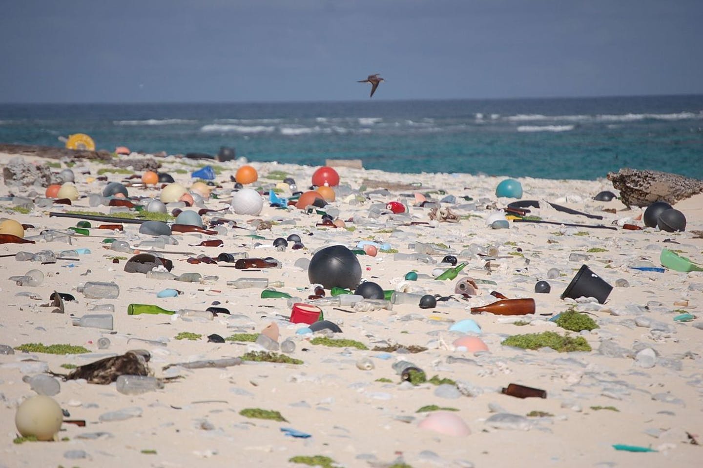 trash in ocean
